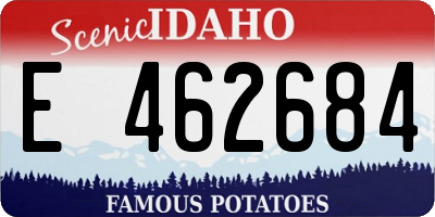 ID license plate E462684
