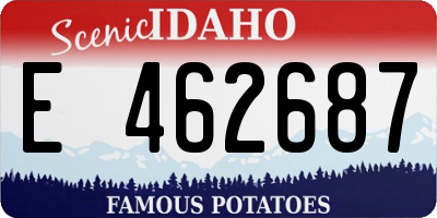ID license plate E462687
