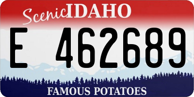 ID license plate E462689