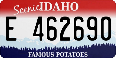 ID license plate E462690
