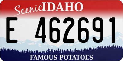 ID license plate E462691