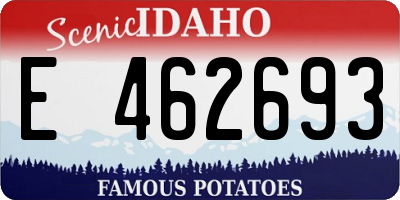 ID license plate E462693