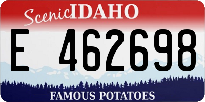 ID license plate E462698