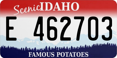 ID license plate E462703