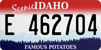 ID license plate E462704