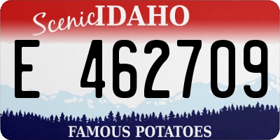 ID license plate E462709