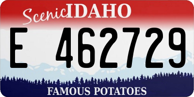 ID license plate E462729