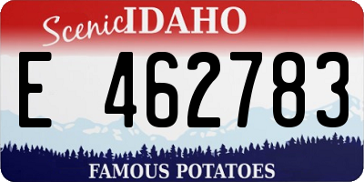 ID license plate E462783