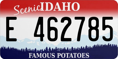 ID license plate E462785