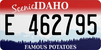ID license plate E462795