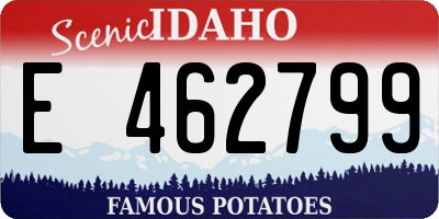 ID license plate E462799