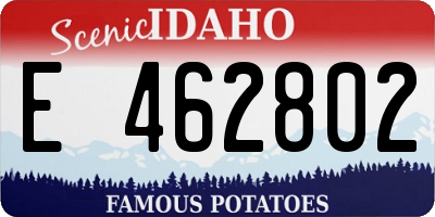ID license plate E462802