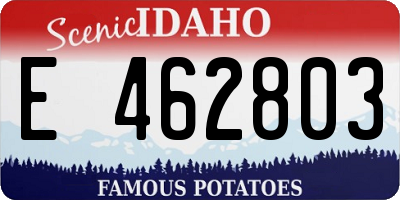 ID license plate E462803