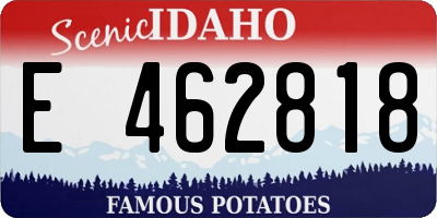 ID license plate E462818