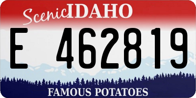ID license plate E462819