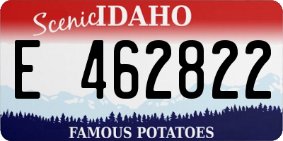 ID license plate E462822