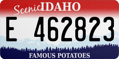 ID license plate E462823