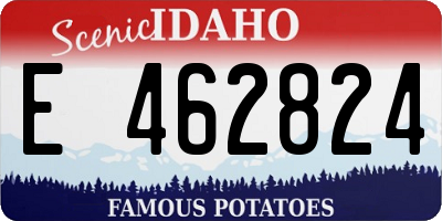 ID license plate E462824