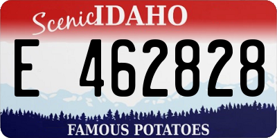 ID license plate E462828