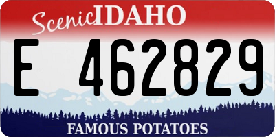 ID license plate E462829
