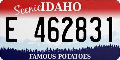 ID license plate E462831
