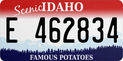 ID license plate E462834
