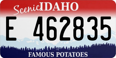 ID license plate E462835