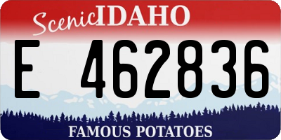 ID license plate E462836