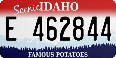 ID license plate E462844
