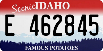 ID license plate E462845