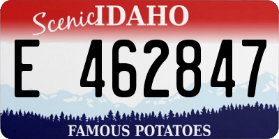 ID license plate E462847