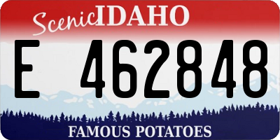 ID license plate E462848