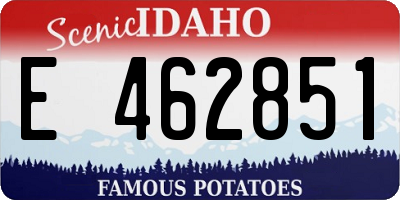ID license plate E462851