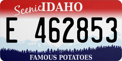 ID license plate E462853