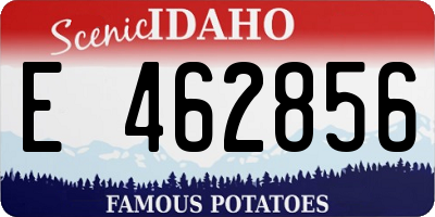 ID license plate E462856
