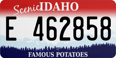 ID license plate E462858