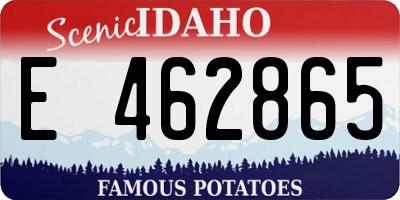 ID license plate E462865