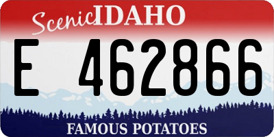 ID license plate E462866