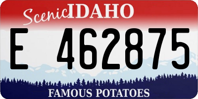 ID license plate E462875