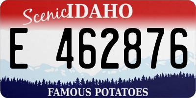 ID license plate E462876