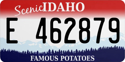ID license plate E462879