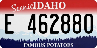 ID license plate E462880
