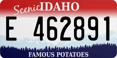 ID license plate E462891