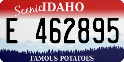 ID license plate E462895