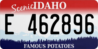 ID license plate E462896