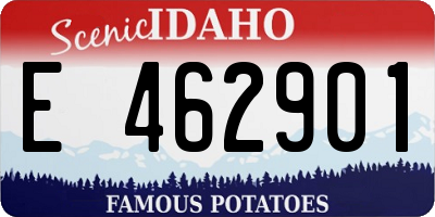 ID license plate E462901