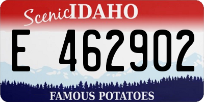 ID license plate E462902