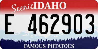 ID license plate E462903