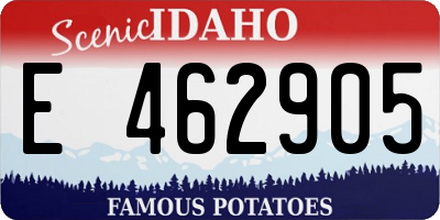 ID license plate E462905