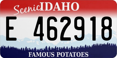 ID license plate E462918